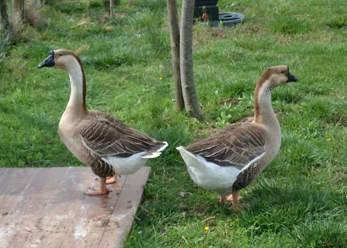 Al Giardino Degli Etruschi Chiusi